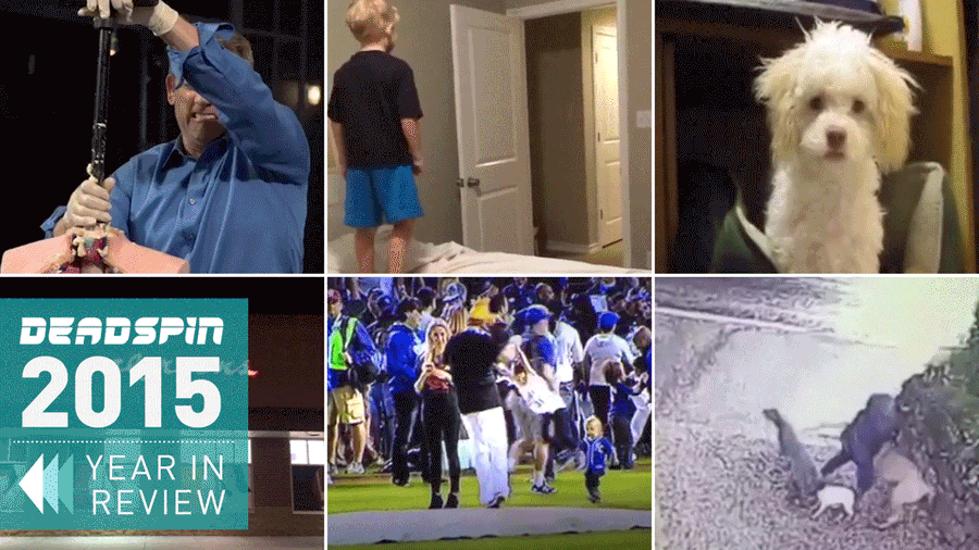 Deadspin's Favorite Vines Of 2015