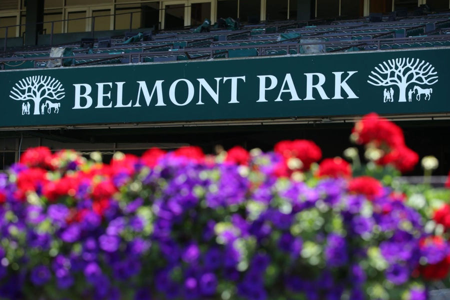 Belmont Stakes 2024 Bet Picks: Who's In It & Who Can Win It?