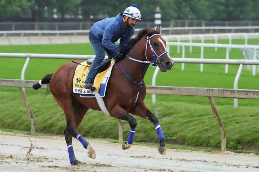 2024 Belmont Stakes Predictions, Picks For Triple Crown Race