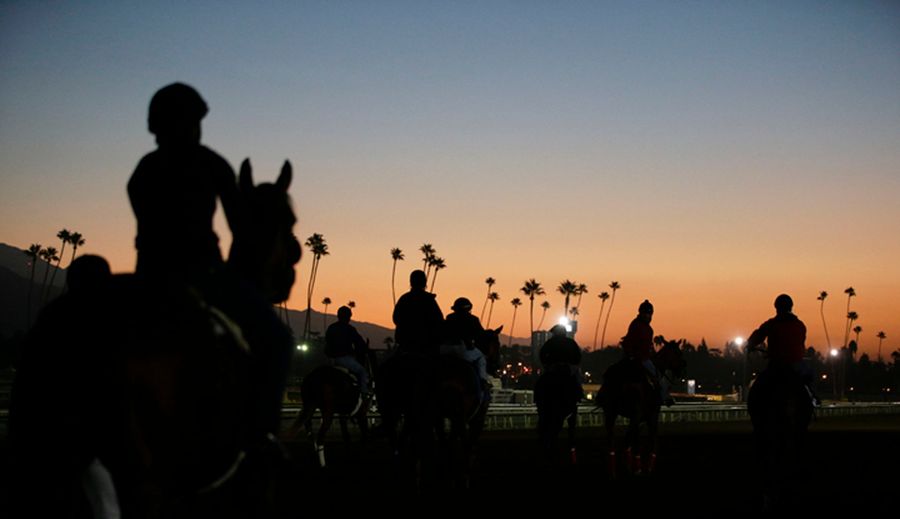 They Killed Yet Another Horse At Santa Anita