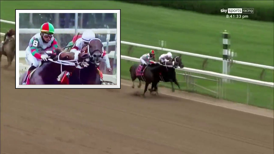 Hawk Harrelson would love this horse