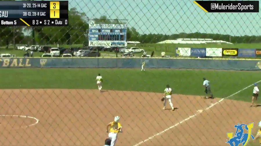 Softball Fan&#39;s Spectacular Catch Overshadowed By Even More Spectacular Fall Out Of Pickup Truck