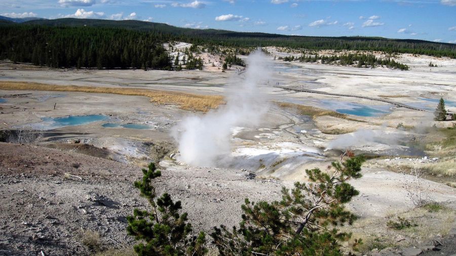 Ways To Die That Are More Awful Than Dissolving In A Scalding Acid Bath, Ranked
